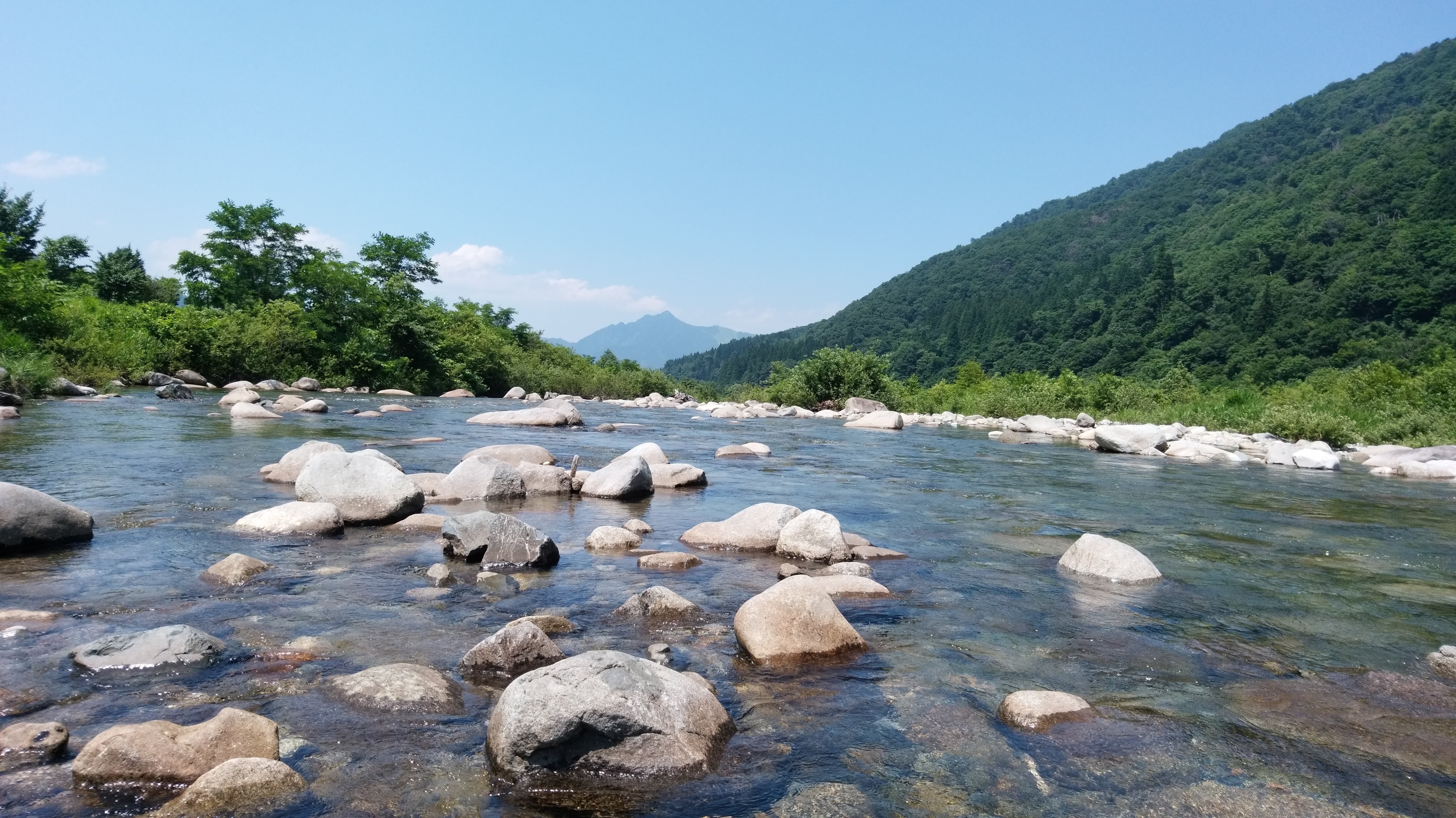 子供と釣り 18年7月 湯沢で川遊び 夏休みに子供と楽しむ手軽な渓流釣り おまけのクワガタ採集 遊びのマニエラ