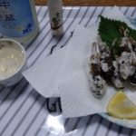 【子供と釣り】2018年8月　川遊びで釣ったカジカを料理してみた　冷酒に合うカジカの空揚げ